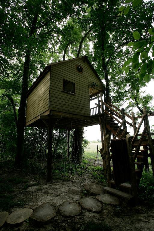 La Cabane Aux Secrets - Au Milieu De Nulle Part Outines Phòng bức ảnh